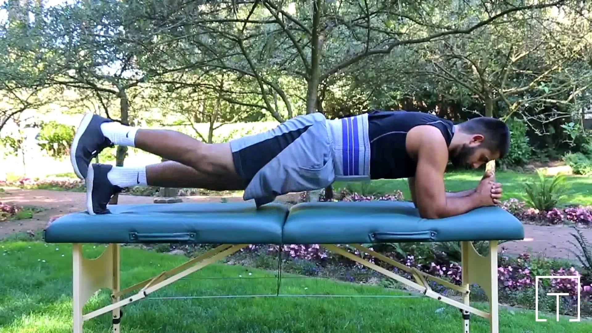 Plank Hip Extension